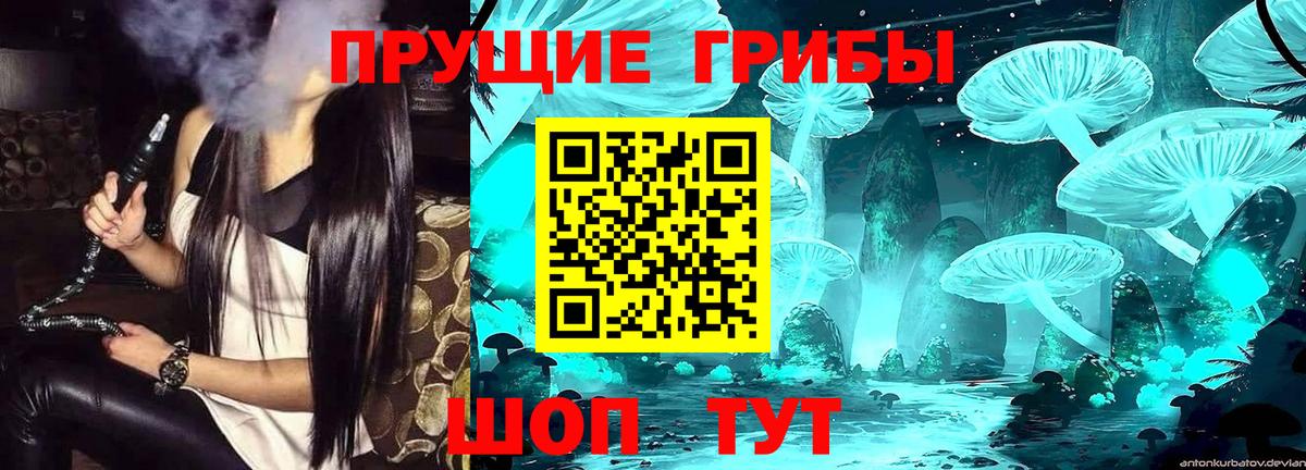 Евпатория  где купить   Вход с VPN  Псилоцибиновые грибы ЛСД 